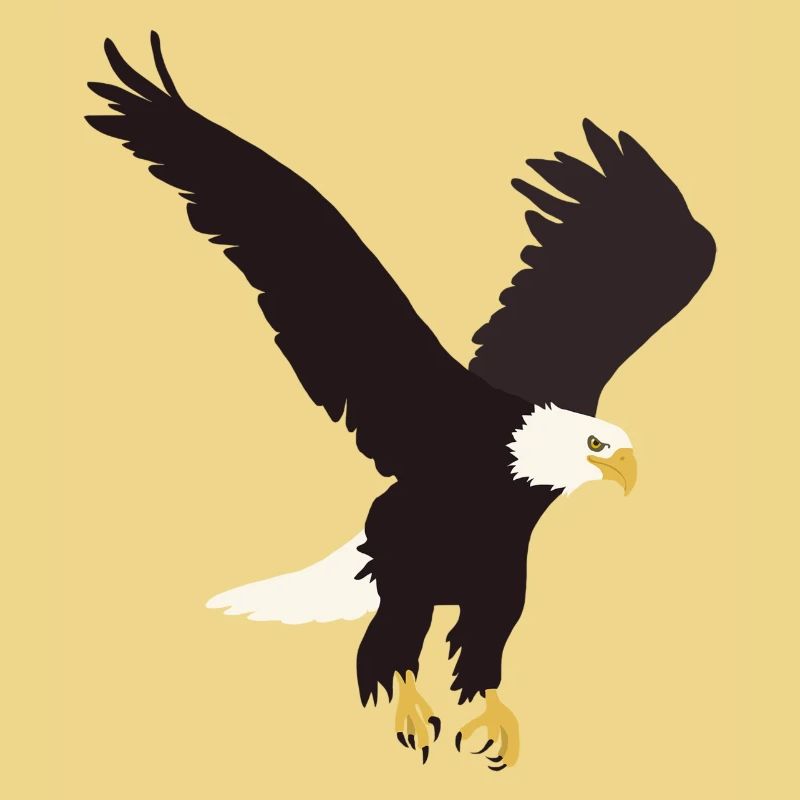 Weisskopfseeadler
