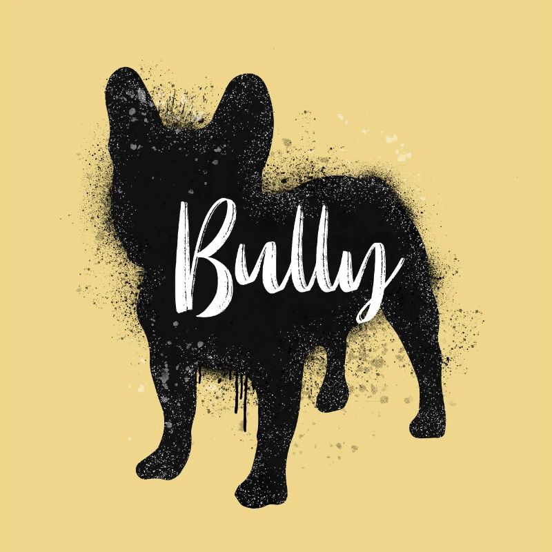 Bully schwarz