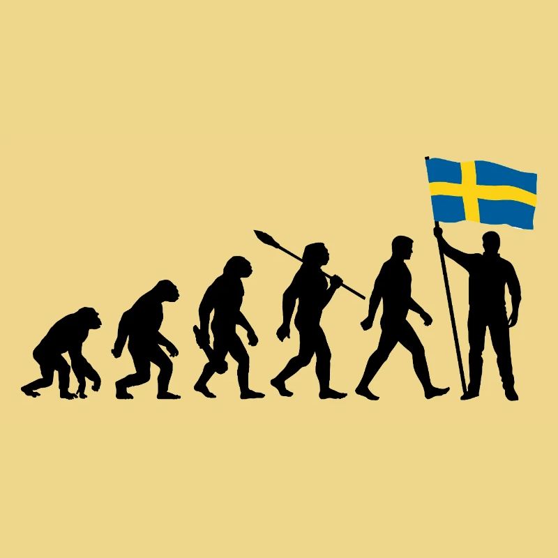 Suède - Evolution - Drapeau - Nation