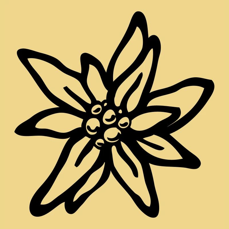 Edelweiß