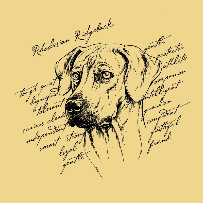 Rhodesian Ridgeback