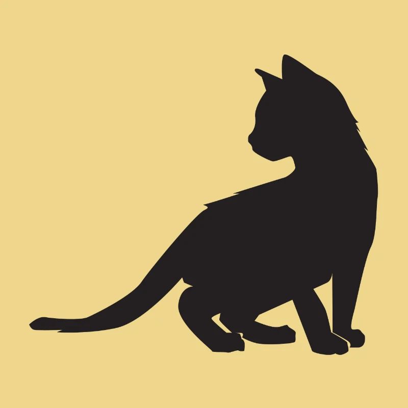 Conception de chaton