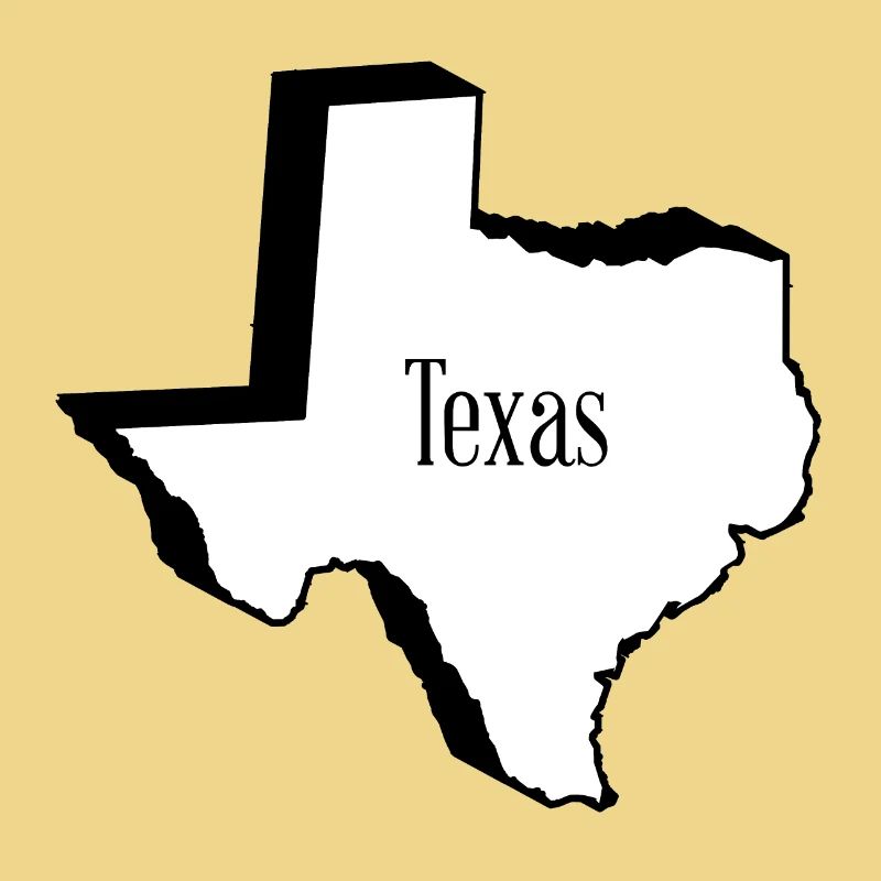 Texas State Outline Map in 3D