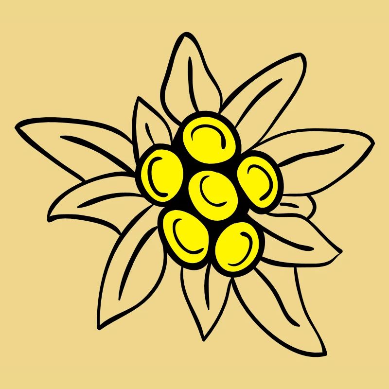 Edelweiss
