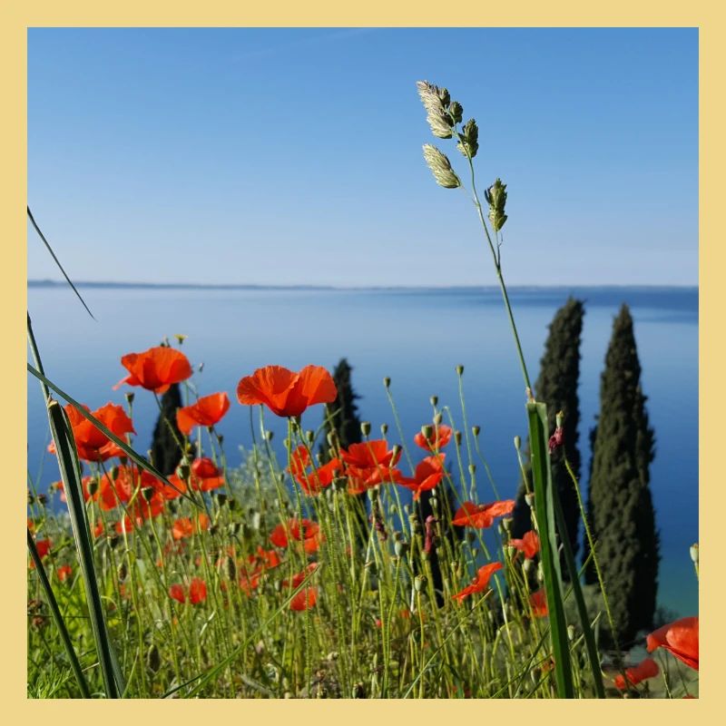 Lac de Garde
