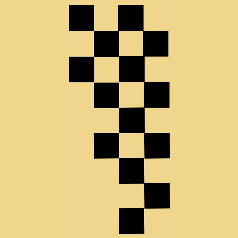 RACING FLAG