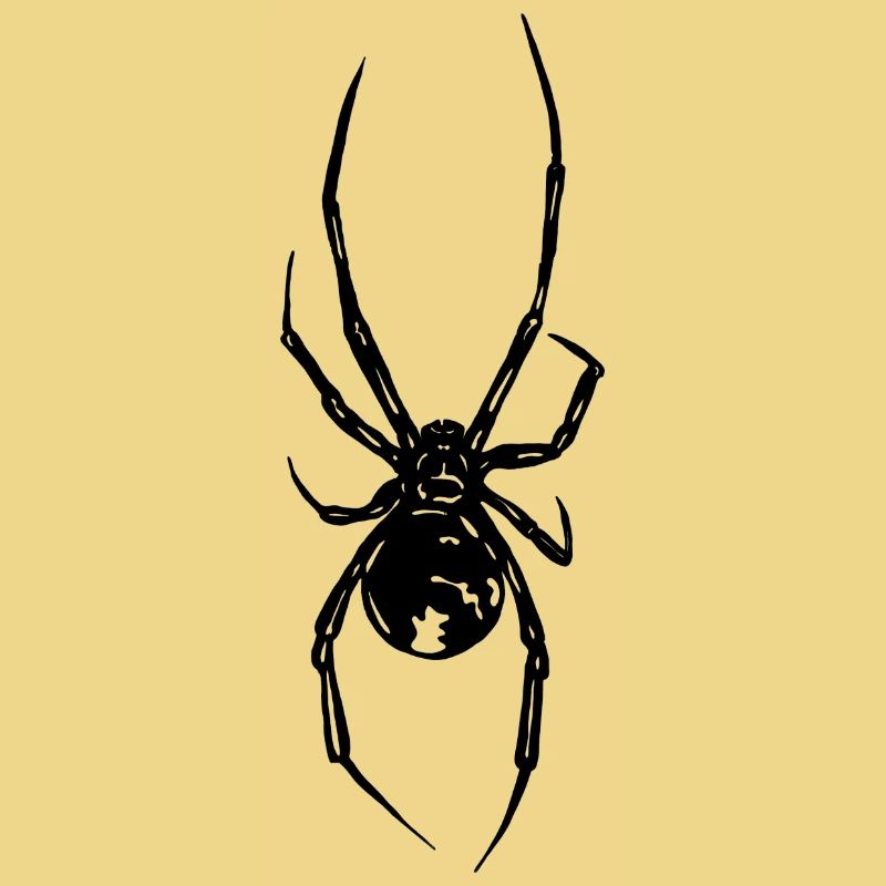Spinne