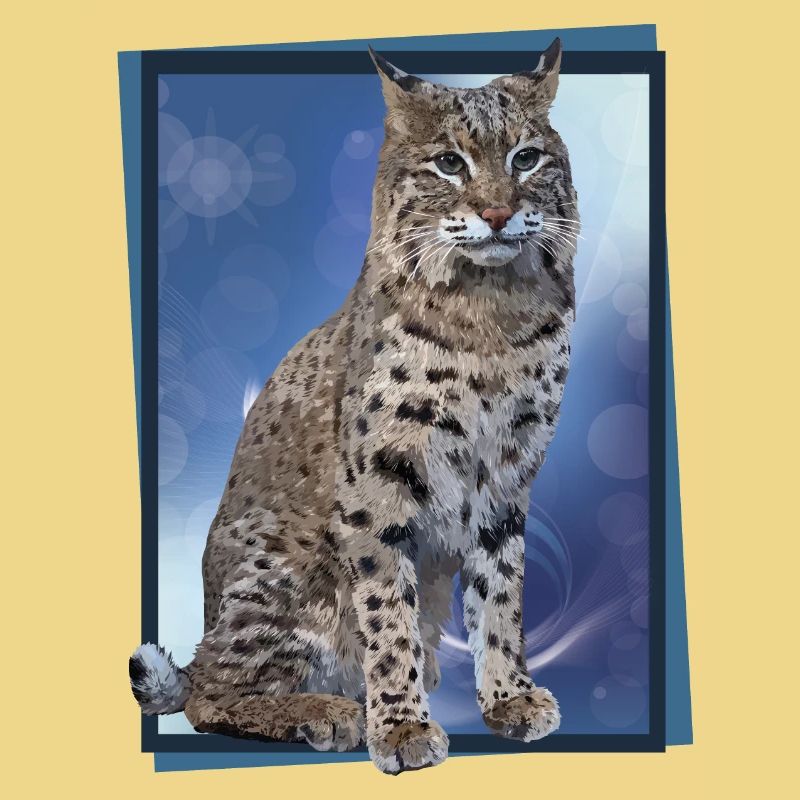 Luchs