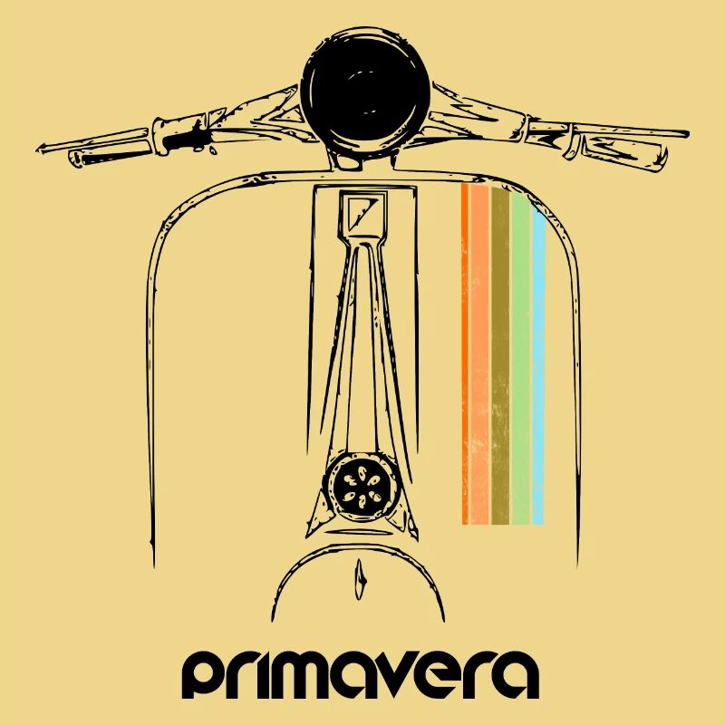 Motorroller Roller Primavera