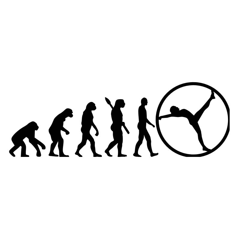 Evolution gymwheel