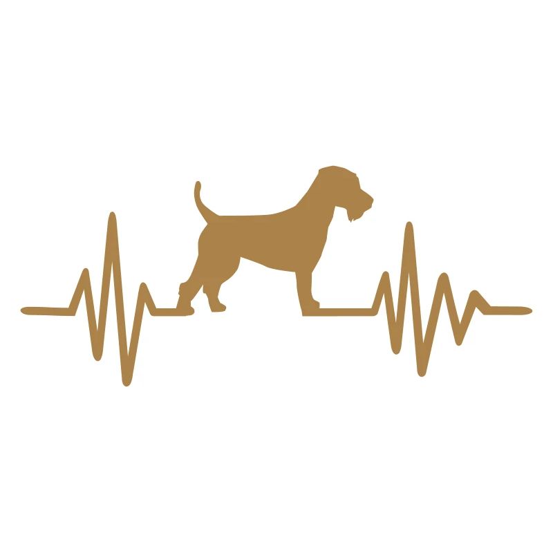 Welsh Terrier