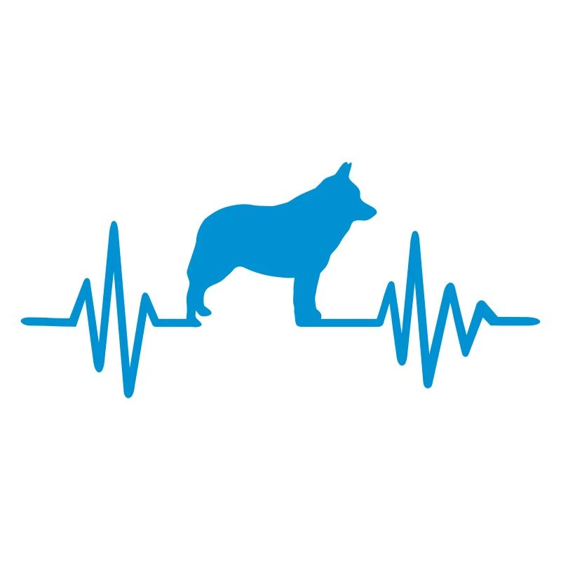 Schipperke