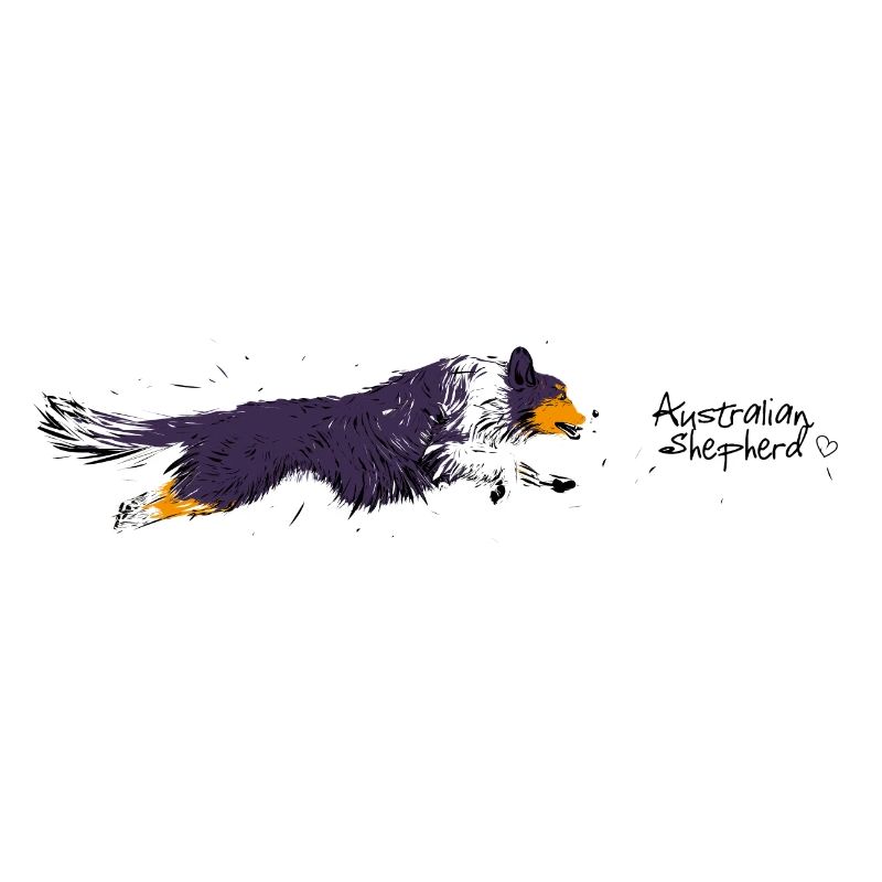 Australian Shepherd