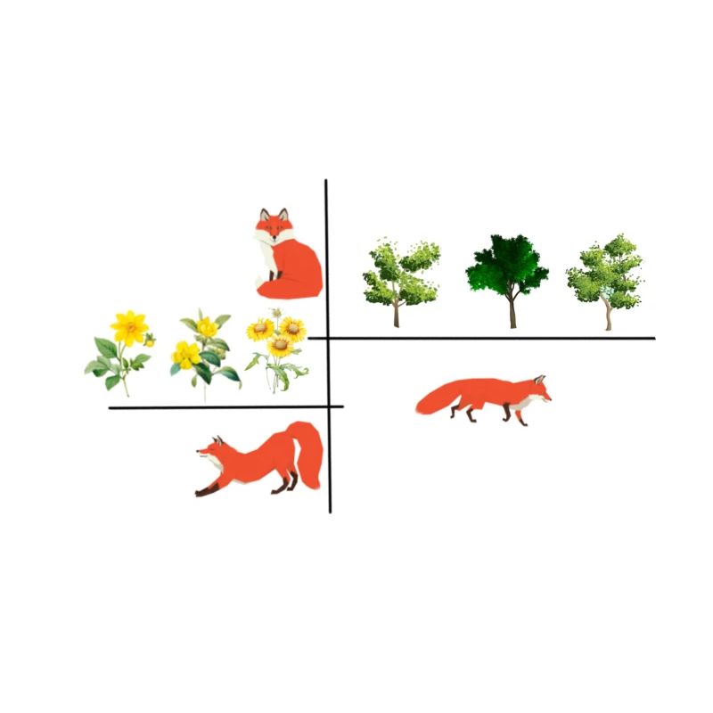 foxes