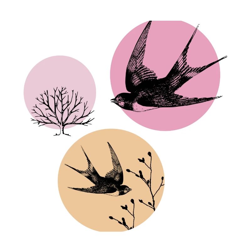 Spring swallows