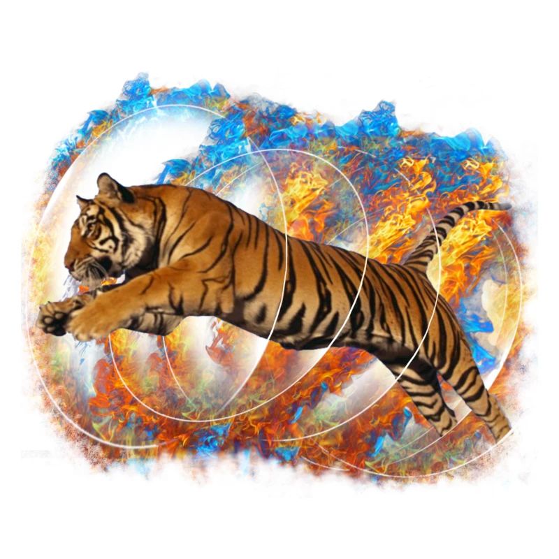 Tigr
