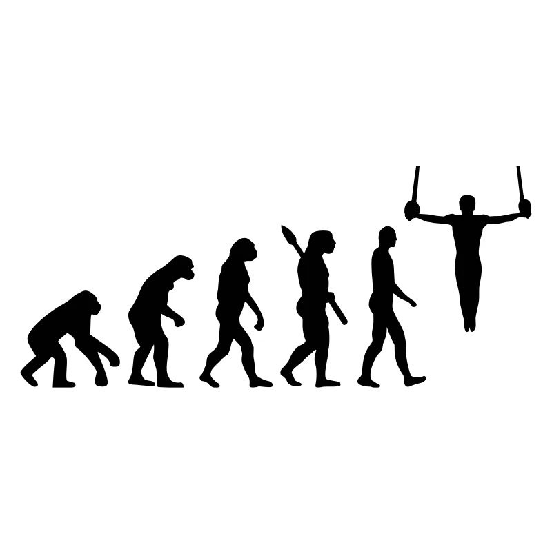 Evolution Gymnastics