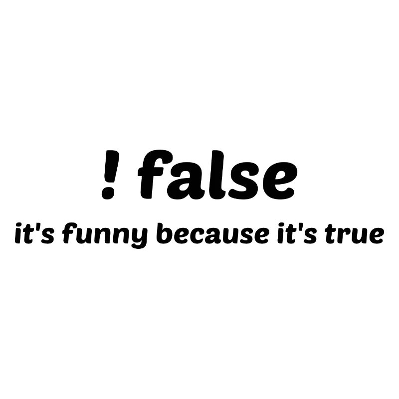 False It's Funny Because It's True Programmer Comp