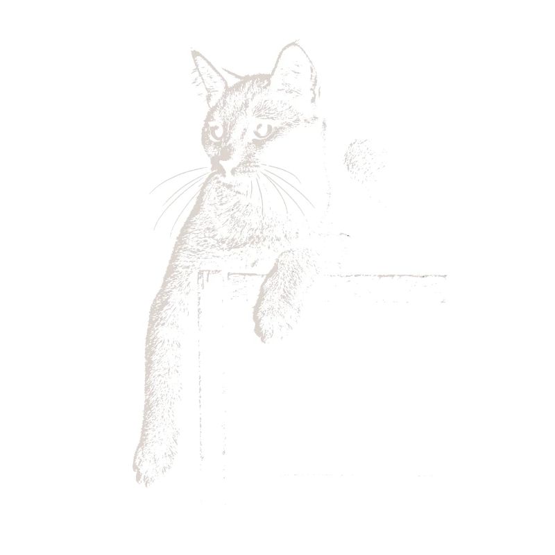 Karthäuser Katze