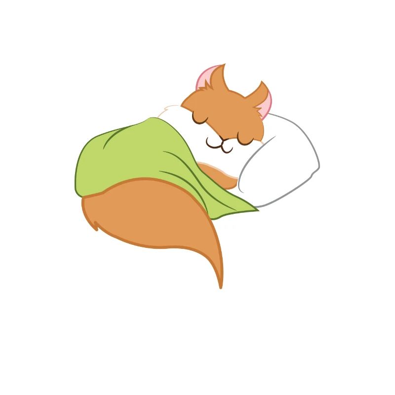 Eichhörnchen - Schlafen - Eichkätzchen - Geschenk