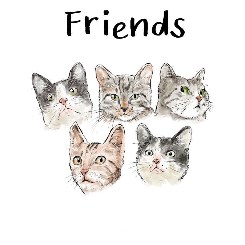 Amis chat