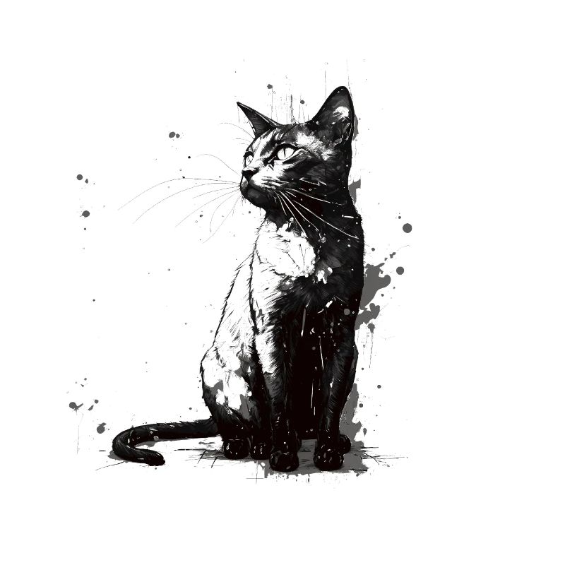 Cat Stencil White and Black