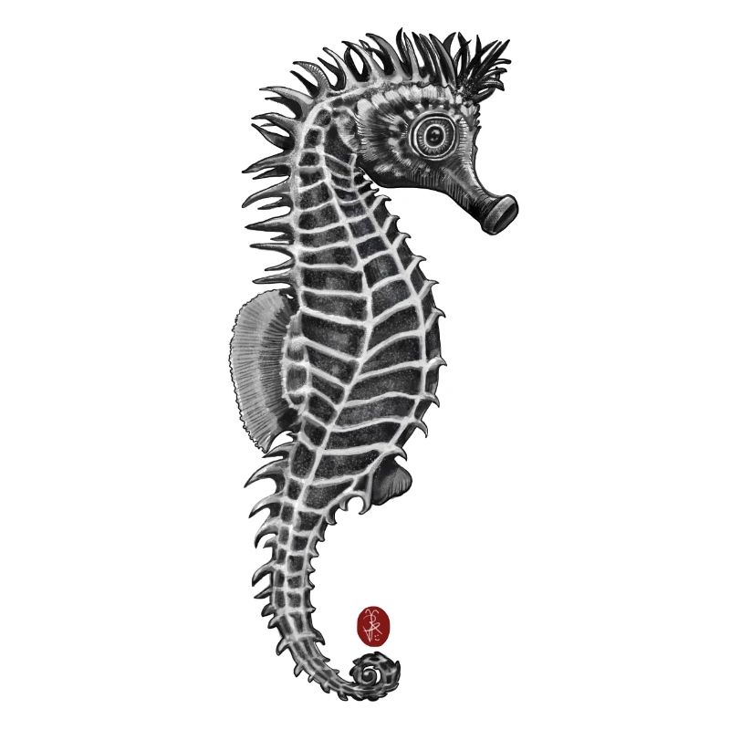Seepferdchen