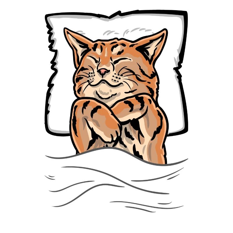 Lit chaton endormi