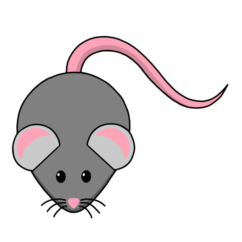 mouse