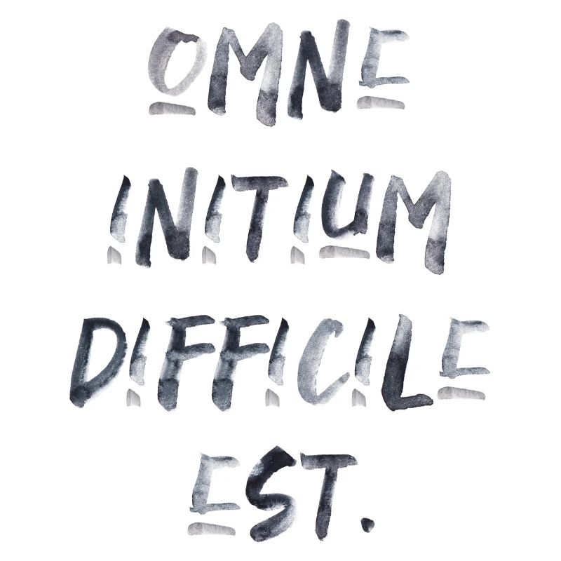 all beginning is difficult Latin quotation scripture