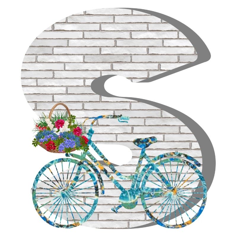 bicycle e 100 s