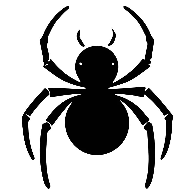 spider