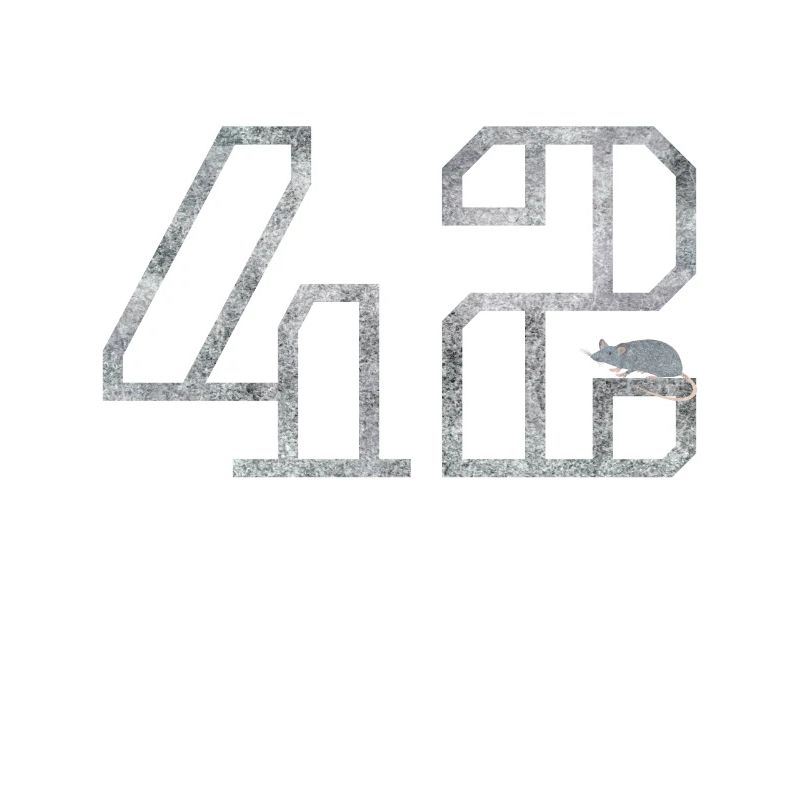 42 with mouse, gift, nerd, computer freaks