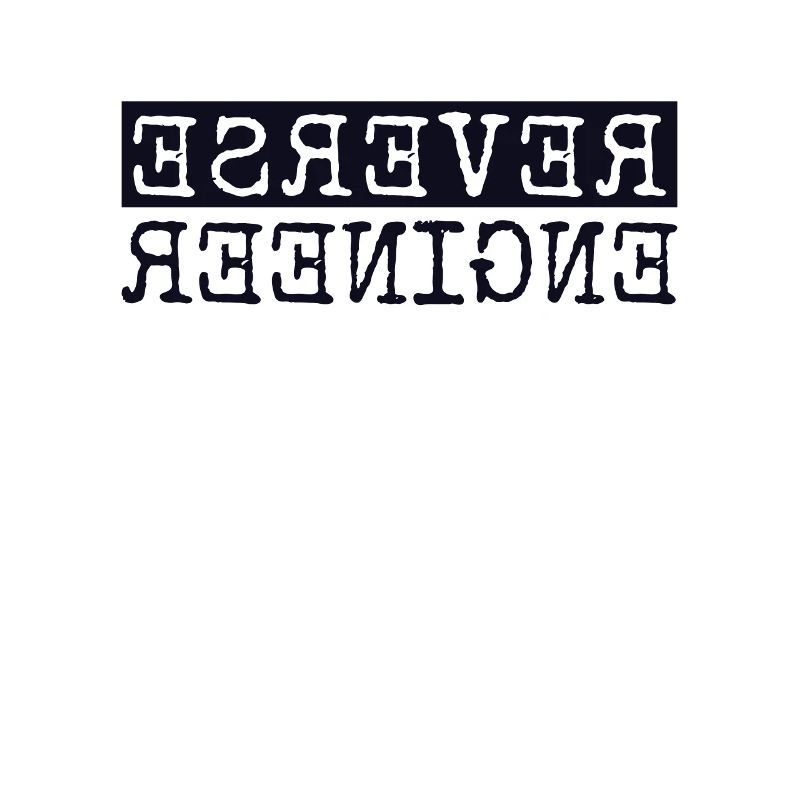 Reverse Engineer Softwareingenieur Developer