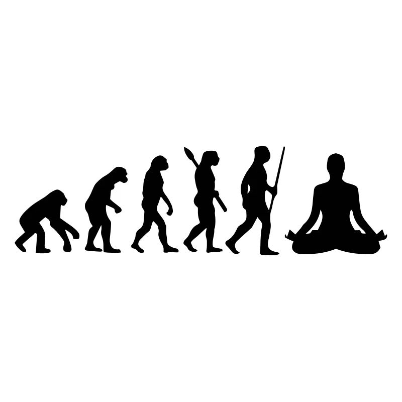 MEDITATION EVOLUTION!