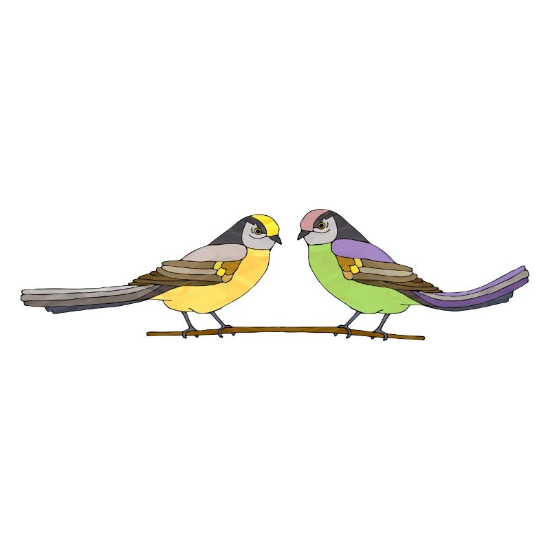 Oiseaux