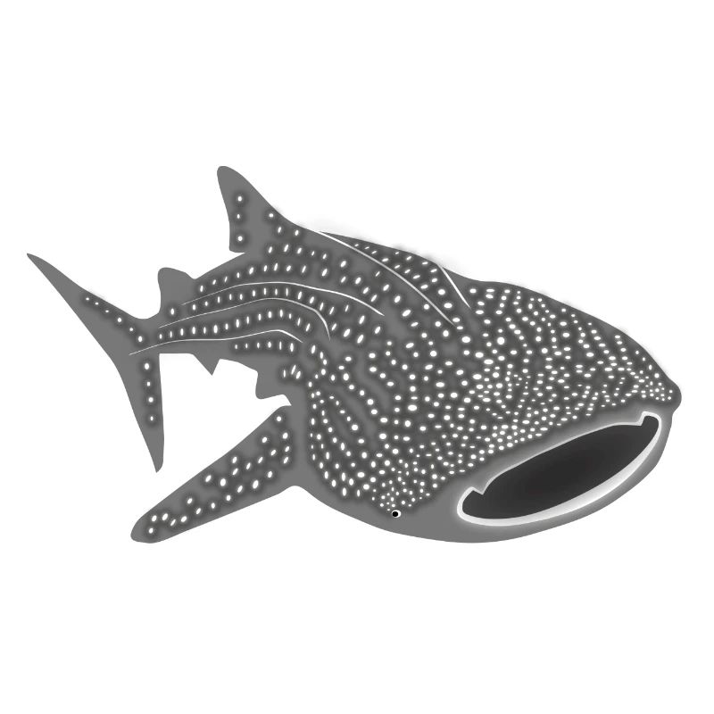 Requin-baleine baleine poisson requin plongée