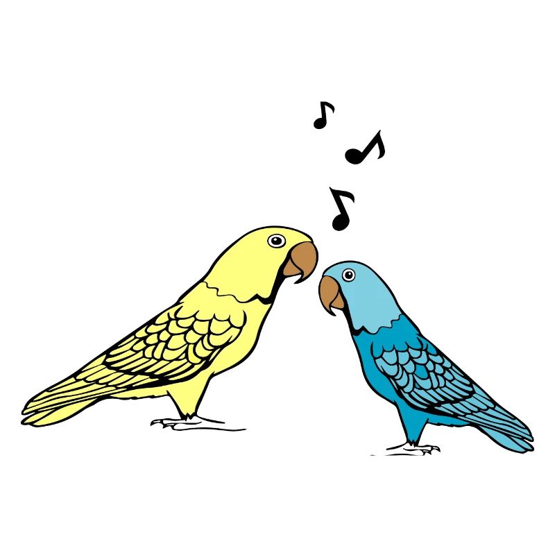 Budgie Wellens perrtich
