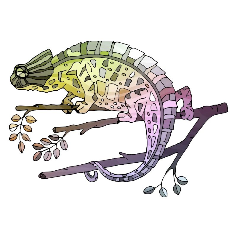 Chameleon