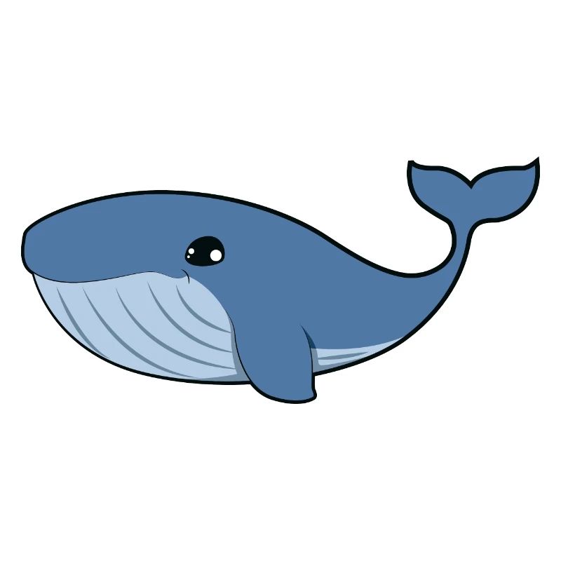 Blue whale