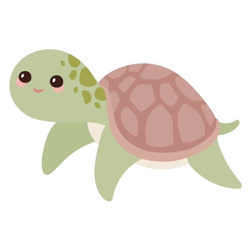 turtle