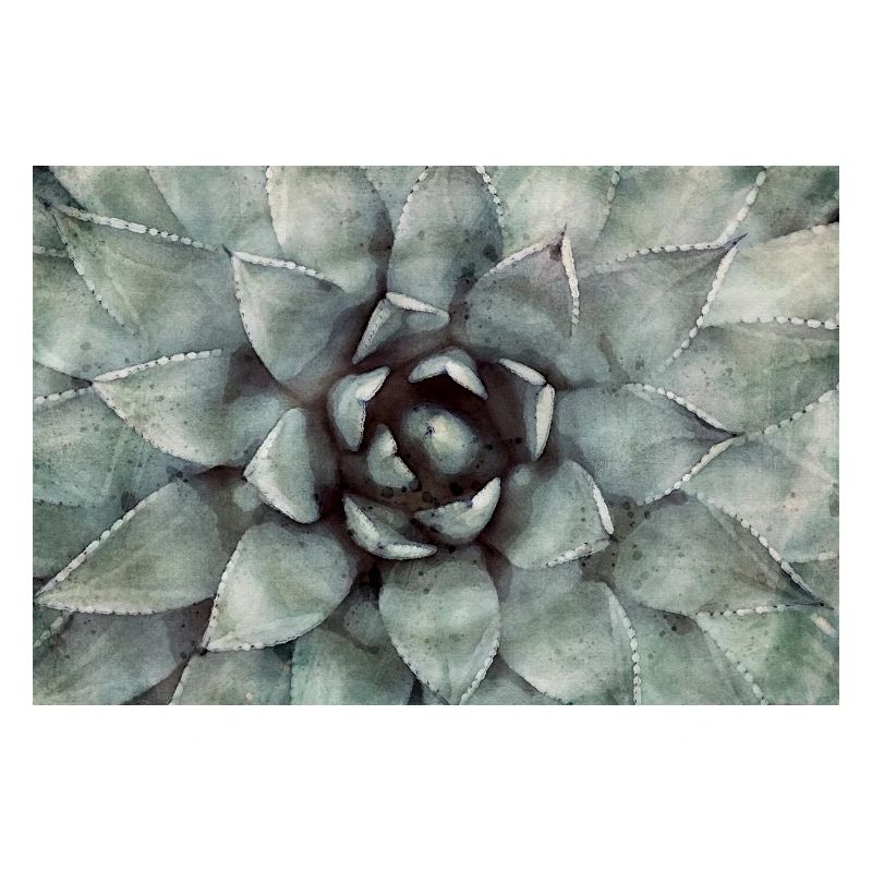 Succulentes