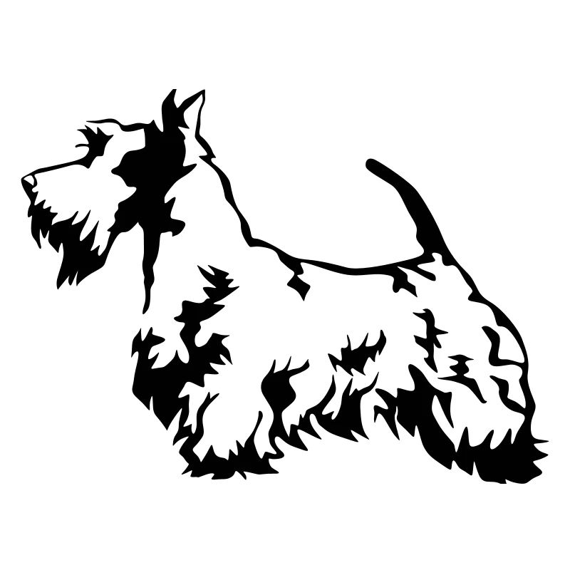 Terrier écossais