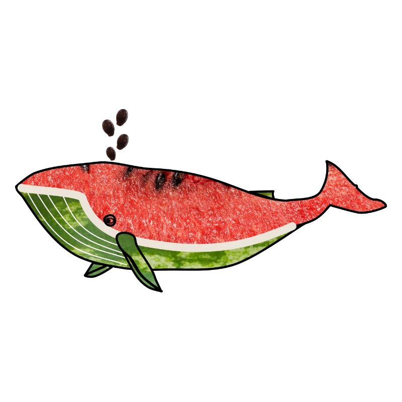 Baleine pastèque