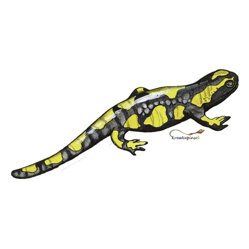 Fire salamander