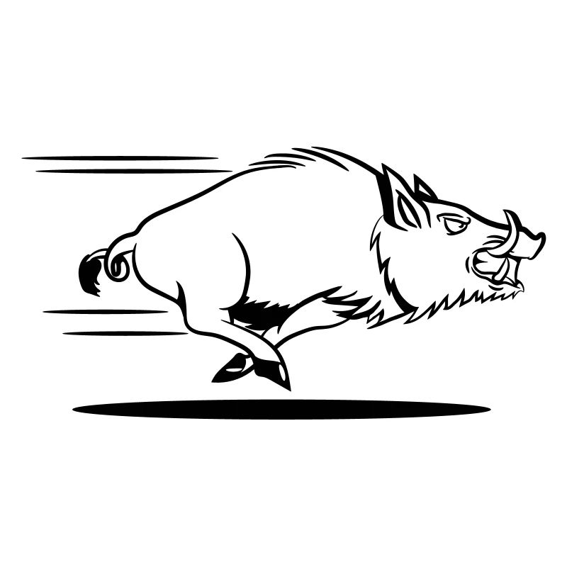 course de sanglier