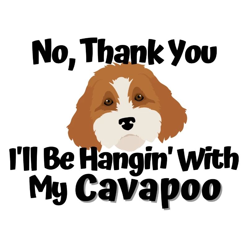 Hanging With My Cavapoo