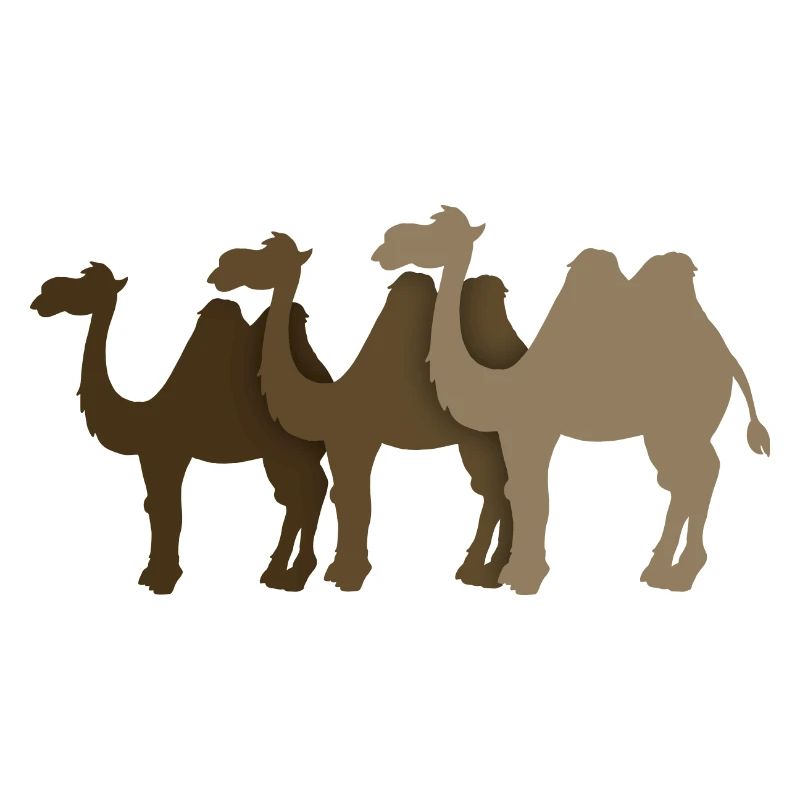 Camels