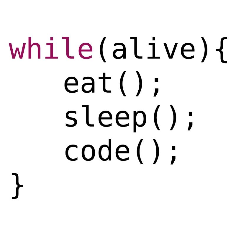 Lustiger Code Quellcode