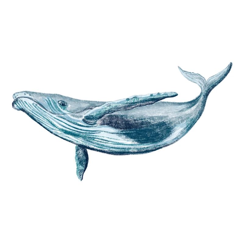 Save the ocean
